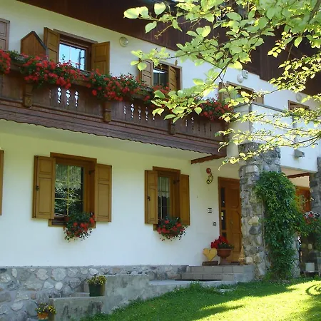 Picchio Nero 3* Вальбруна